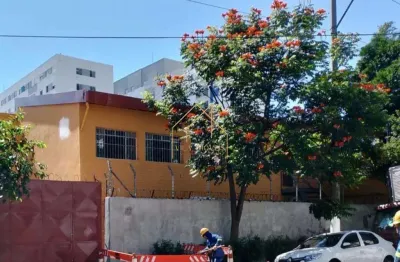 Galpão à venda e para alugar em são paulo, cambuci, com 1338 m²