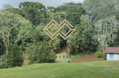 Chácara / sítio com 5 quartos à venda na Área Rural, 101, Zona Rural, São José dos Pinhais