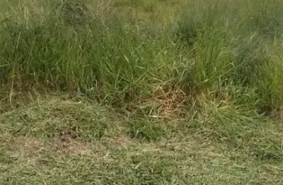 Terreno à venda no Laranja Azeda, Atibaia 