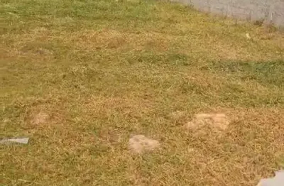 Ocean vende: itaipuaçu, terreno 480m², aterrado, água cedae, localizado rua 81