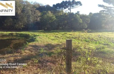 Chácara 15min/s.jose/25curitiba/lagos/ bosque/ lazer/morar/r$ 680mil