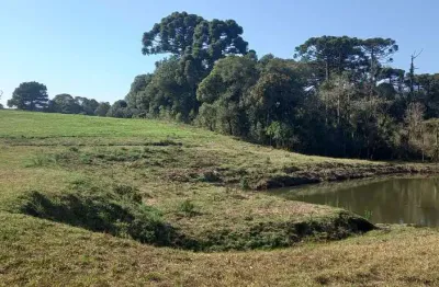 Bela chacara 90% limpa à 14 km do centro de s.j.pinhais $ 2 milhões