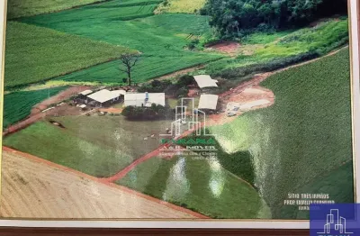 Excelentíssima oportunidade de fazenda a 30 minutos de maringá