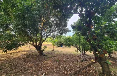 Chacara à venda em cesário lange-sp, bairro guarapó, com 5.287,00 m² de área: sua oportunidade de investimento!
