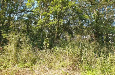 Terreno à venda, 614 m² por r$290.000,00 - santa terezinha - itapoá/sc