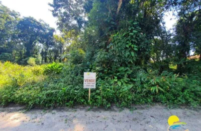 Terreno à venda, 300 m² por r$80.000,00 - brandalize - itapoá/sc