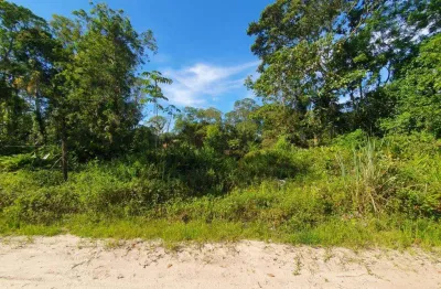 Terreno à venda, 300 m² por r$80.000,00 - brandalize - itapoá/sc