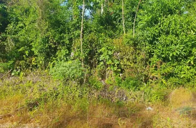 Terreno à venda, 192 m² por r$42.000,00 balneário alvorada itapoá sc.