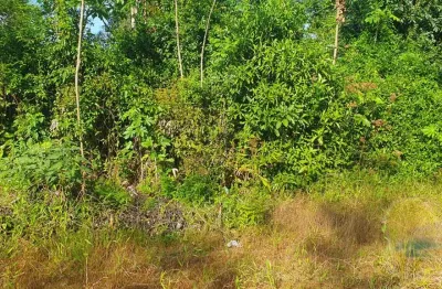 Terreno à venda, 168 m² por r$48.000,00 balneário alvorada itapoá sc.
