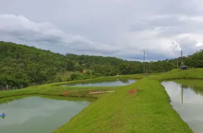 Chácara / sítio com 2 quartos à venda na Zona Rural, Setor Central, Orizona