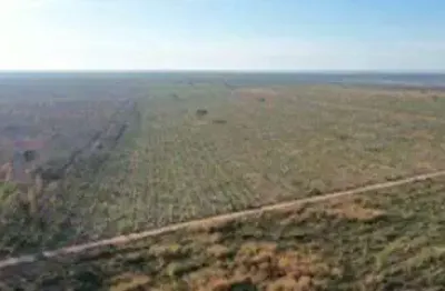 Terreno comercial à venda na Fazenda Três Riachos, 00, Zona Rural, Santa Fé de Minas