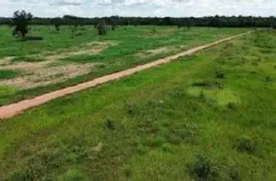 Área  à venda com 1.242,68 hectares em são felix do araguaia - mt