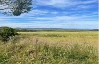 Área  à venda com 25,94 hectares em caldas novas - go
