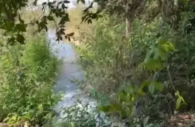 Fazenda paraim – 23,65 hectares – zona rural, município de flores de goiás.