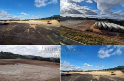 Terreno à venda, 71.312 m² por r$ 36.000.000 - thomaz coelho - araucária/pr
