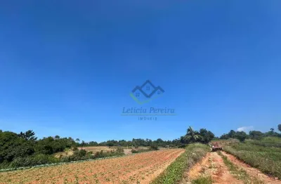 Área à venda, 114.075 m² por r$ 15.600.000 - fazenda aya - suzano/sp