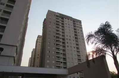 Apartamento a venda, 03 quartos, 01 vaga, ponte grande, guarulhos