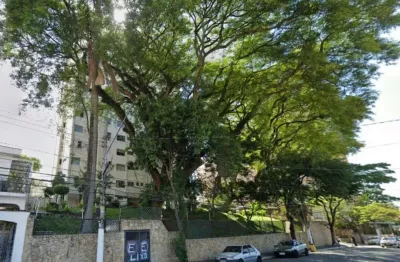 Apartamento a venda, 03 quartos, 01 vaga, cangaíba, são paulo