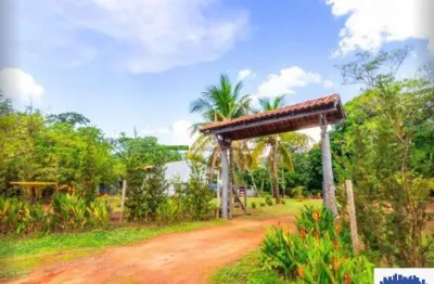 Chácara a venda, área gourmet, piscina, pomar, rio, palmeiras, mato grosso do sul