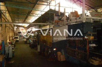 Barracão / Galpão / Depósito com 1 sala à venda na Rua Ituxi, --, Saúde, São Paulo