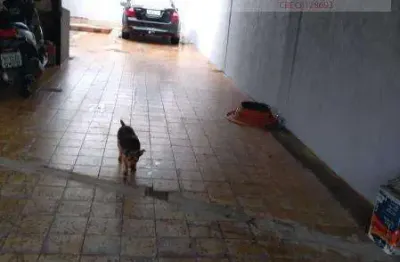 Terreno à venda no Jardim Adutora, São Paulo 