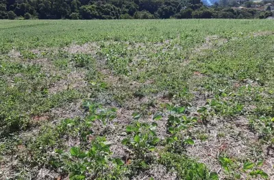 Terreno comercial à venda na Rodovia Alkindar Monteiro Junqueira, Sítio da Moenda, Itatiba