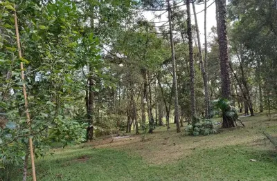 Chácara / sítio à venda na rua francisco caetano coradin, são dimas, colombo, 7980 m2 por r$ 599.300