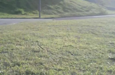 Terreno em condomínio fechado à venda na itatiba country club, 1, condomínio country club, itatiba por r$ 350.000