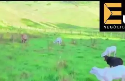 Fazenda à venda no fazenda mantiqueira em são lourenço/mg