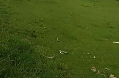 Terreno à venda na Rua dos Ipês, --, Santa Claudina, Vinhedo