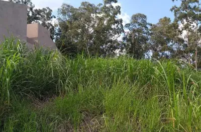 Terreno à venda no residencial quinta das videiras em louveira/sp
