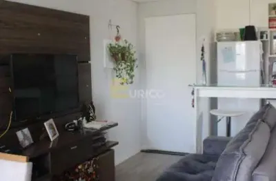 Apartamento à venda no condomínio residencial santa eliza em valinhos/sp