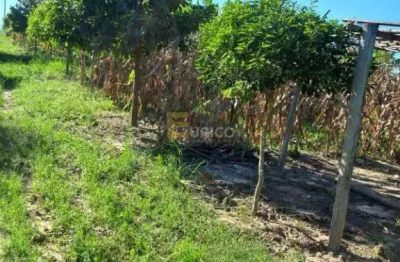 Terreno à venda na ÁRea Rural De Monte Mor, --, Zona Rural, Monte Mor