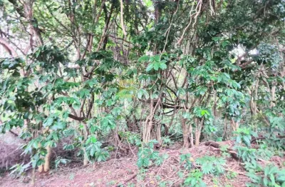 Terreno à venda na Rua Biagio Imperato, --, Buracão, Vinhedo