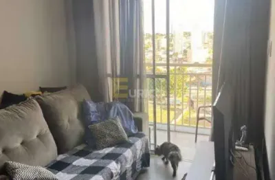 Apartamento à venda no condomínio alta vista em valinhos/sp