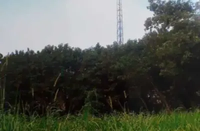 Terreno comercial para alugar na Avenida Rosa Belmiro Ramos, --, Ortizes, Valinhos