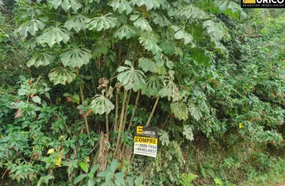 Terreno à venda na Alameda dos Mamoeiros, --, Parque Valinhos, Valinhos