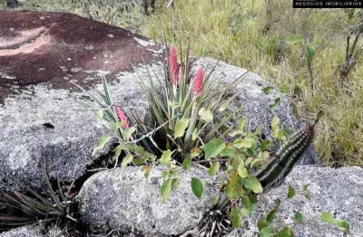 Terreno à venda na Alameda das Ponkans, --, Parque Valinhos, Valinhos