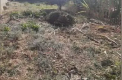 Terreno à venda no jardim parque portugal em valinhos/sp