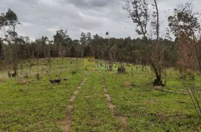 Terreno à venda na Estrada Do Bugio, --, Leitão, Louveira