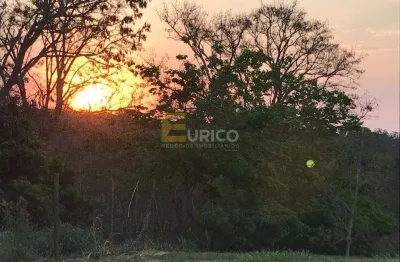 Terreno em condomínio à venda no condomínio reserva da floresta em distrito de sousa- campinas/sp