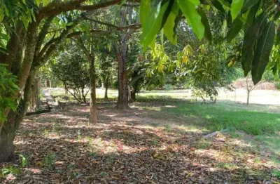Terreno à venda no centro em santa maria da serra/sp