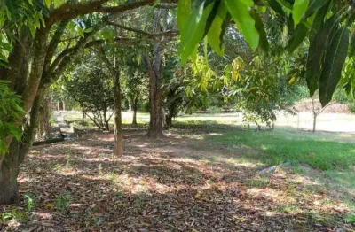Terreno à venda no centro em santa maria da serra/sp