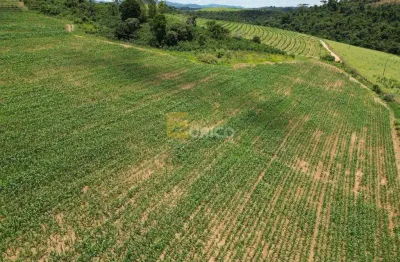 Chácara / sítio à venda na Zona Rural, Botelhos 