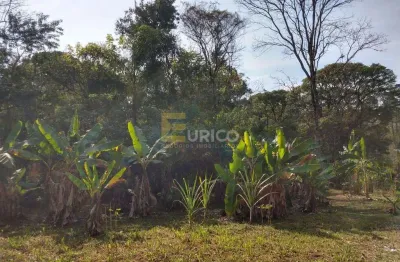 Terreno à venda na Rodovia Visconde de Porto Seguro, --, Dois Córregos, Valinhos