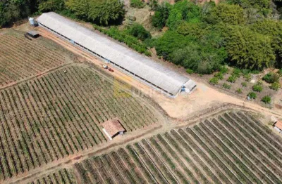Chácara / sítio à venda na Estrada Municipal Domingos Stoco, --, Bairro do Morro, Itatiba