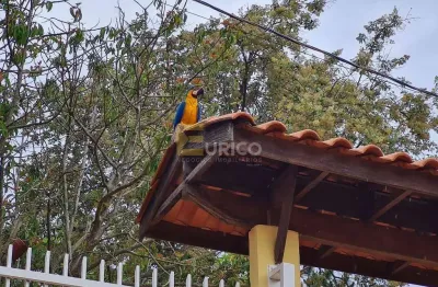 Casa com 3 quartos à venda na Rodovia José Bonifácio Coutinho Nogueira, --, Sousas, Campinas