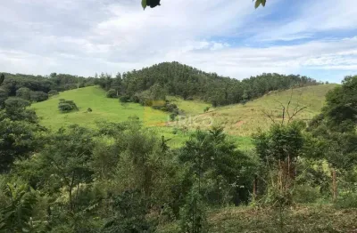 Terreno à venda na Rua Américo Silotto Garcia, --, Vale Verde, Valinhos