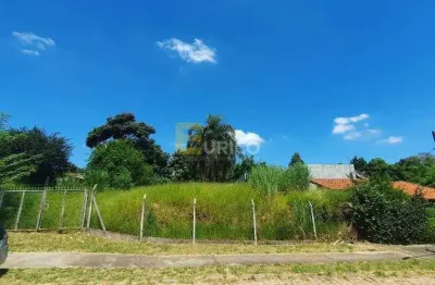 Terreno comercial para alugar na Rua Minoro Toyoda, --, Vale Verde, Valinhos