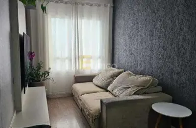 Apartamento à venda no condomínio vista valley em valinhos/sp